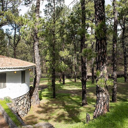 Vivienda Vacacional Finca La Redonda 엘파소 외부 사진